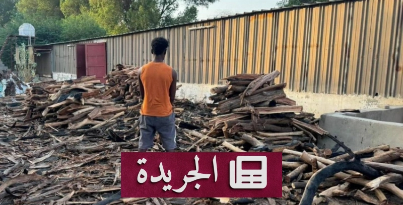 القوات المسلحة تحذر من استخدام الحطب والفحم المحلي في الأنشطة التجارية - آخر أخبار الجريدة