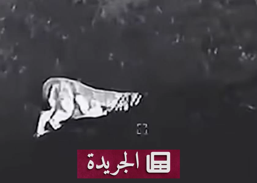 ألمانيا في حالة استنفار بحثاً عن حيوان غامض قرب ميونيخ - آخر الأخبار - الجريدة