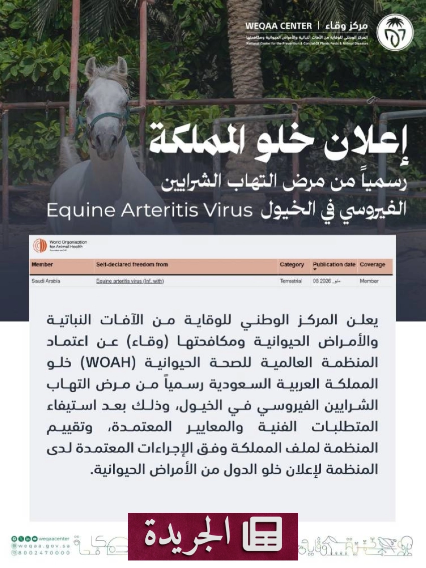 المنظمة العالمية للصحة الحيوانية تعلن خلو السعودية من مرض التهاب الشرايين الفيروسي في الخيول - آخر الأخبار - الجريدة