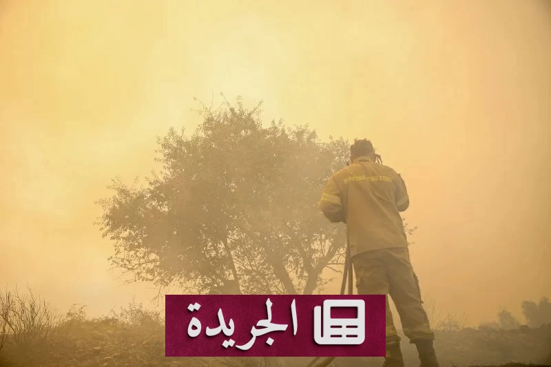 «المزرعة الملعونة» تقود مسؤولين بارزين إلى السجن 10 أعوام - آخر أخبار الجريدة