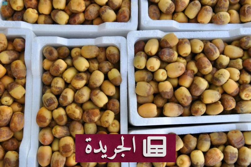 الروثانة تتصدر مبيعات الرطب في المدينة المنورة خلال موسم التمور - آخر الأخبار - الجريدة