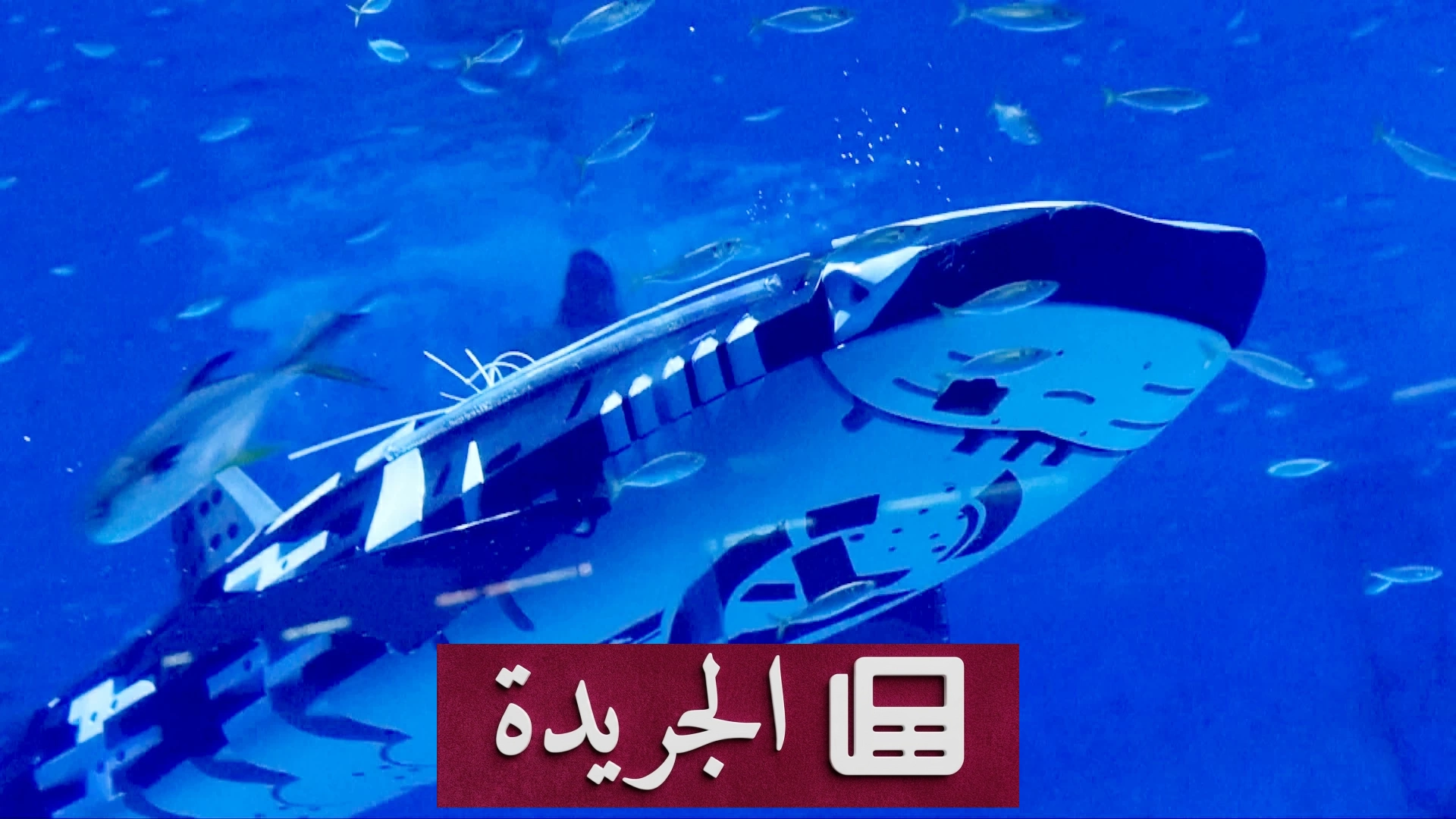 صورة للقرش الروبوتي الذكي الذي طورته الصين لمحاكاة قرش الحوت الطبيعي