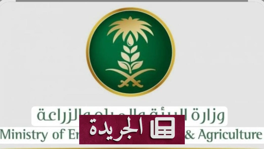 اليوم العالمي للبيئة دعوة عالمية لمواجهة التغير المناخي - آخر الأخبار - الجريدة
