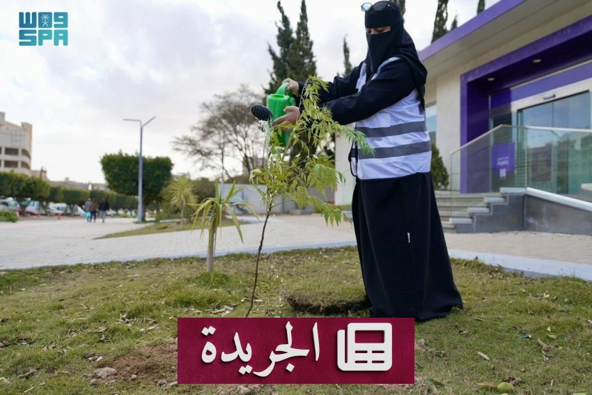 أمانة الباحة تنفذ مبادرة كبرى للتشجير بمشاركة واسعة من الجهات الحكومية والمجتمعية - أخبار أونلاين