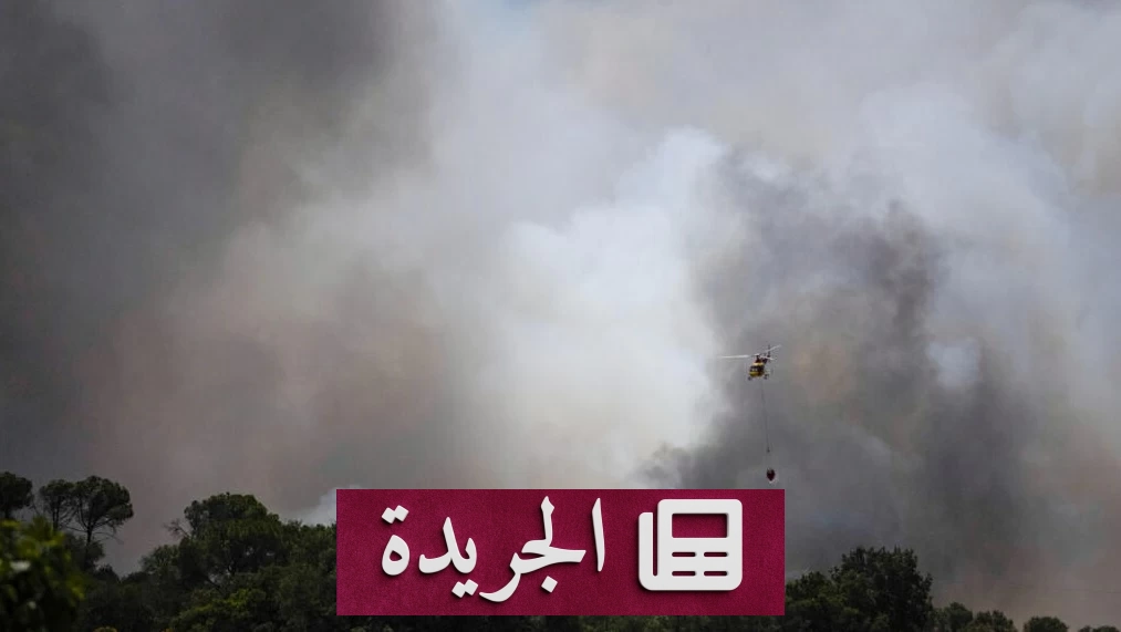 اندلاع حرائق غابات جنوب إسبانيا يودي بحياة 11 شخصًا - أخبار أونلاين