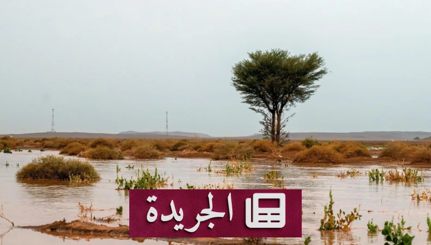 إنجازات سعودية عالمية ووقفات تضامن إقليمية ضد الاعتداءات الحوثية - آخر الأخبار - الجريدة