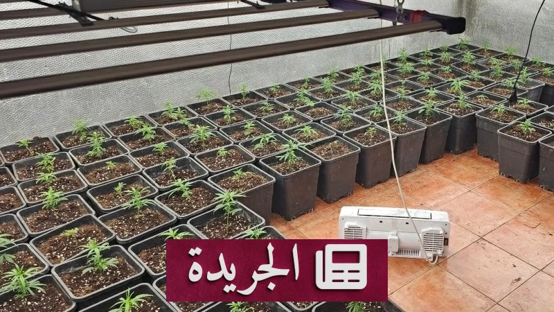 انهيار أضخم شبكة مخدرات أوروبية بعد حملة أمنية كبرى - آخر الأخبار - الجريدة