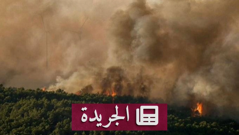 انتشار حرائق الغابات جنوب فرنسا وإجلاء السكان - آخر أخبار الجريدة