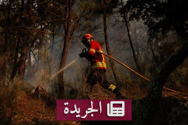 أوروبا على حافة كارثة حرائق الغابات مع ارتفاع حرارة الأرض - أخبار أونلاين