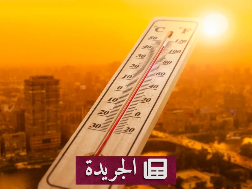 ارتفاع حصيلة ضحايا موجة الحر في كراتشي إلى عشرة قتلى - آخر الأخبار - الجريدة