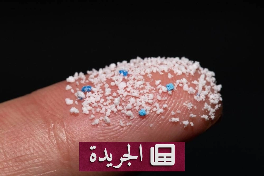 ارتفاع خطر التلوث بالبلاستيك الدقيق على صحة الإنسان - آخر الأخبار - الجريدة