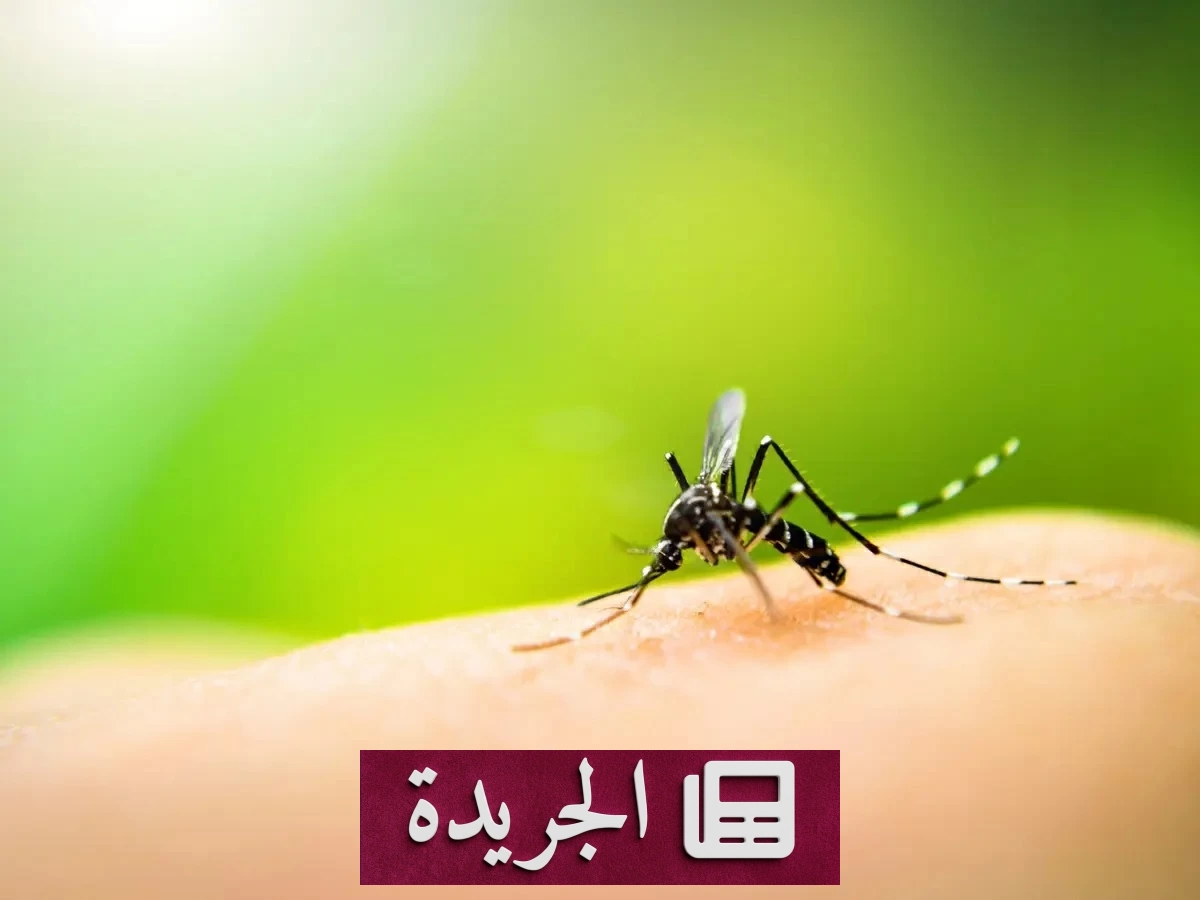 ارتفاع قياسي في إصابات حمى الضنك بماليزيا.. ووزارة الصحة تحذر - آخر الأخبار - الجريدة