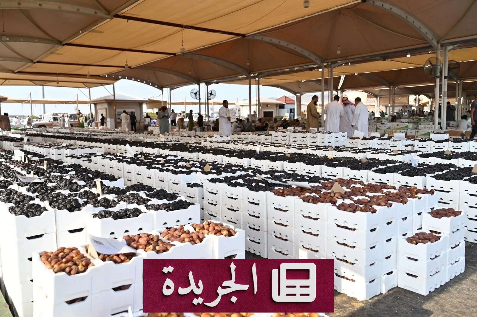 ارتفاع مبيعات التمور في المدينة المنورة بفضل القوة الشرائية المرتفعة - آخر الأخبار - الجريدة