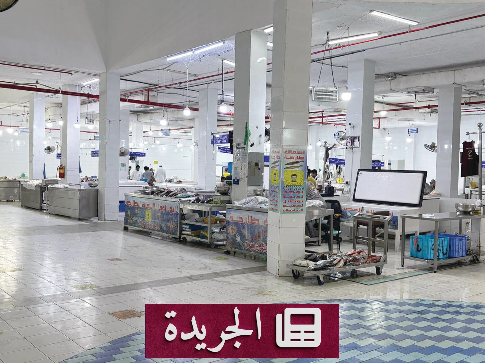 ارتفاع ملحوظ في أسعار الأسماك بعد رمضان.. الأسباب والتداعيات - أخبار أونلاين