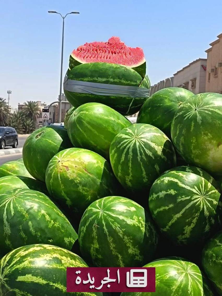 ارتفاع ملحوظ في أسعار الحبحب مع اشتداد حرارة الصيف في الأحساء - آخر أخبار الجريدة