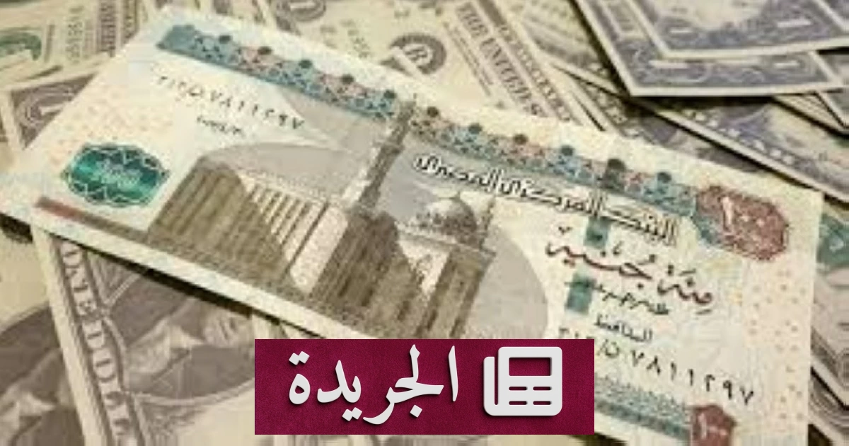 ارتفاع سعر الريال السعودي أمام الجنيه المصري في البنوك المصرية اليوم - أخبار أونلاين