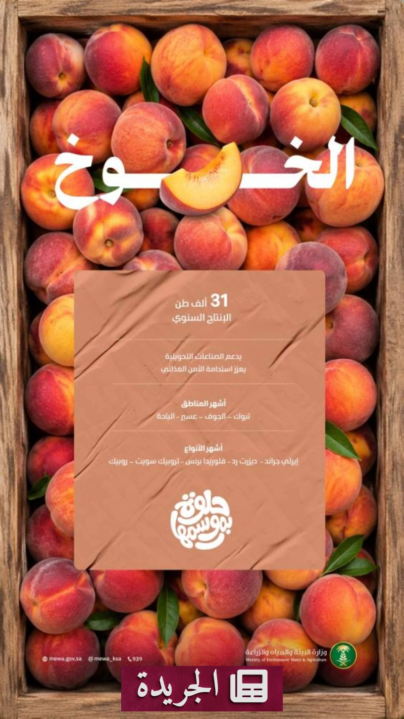 اشتراكك في النشرة الإخبارية اليومية أصبح متاحاً الآن - آخر الأخبار - الجريدة