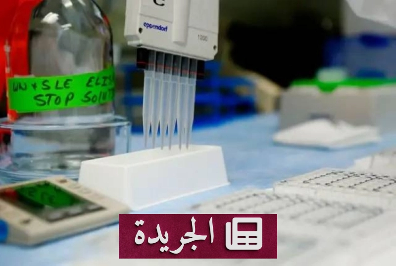 اشتراكك في النشرة الإخبارية اليومية خطوة نحو المعرفة المستمرة - آخر الأخبار - الجريدة