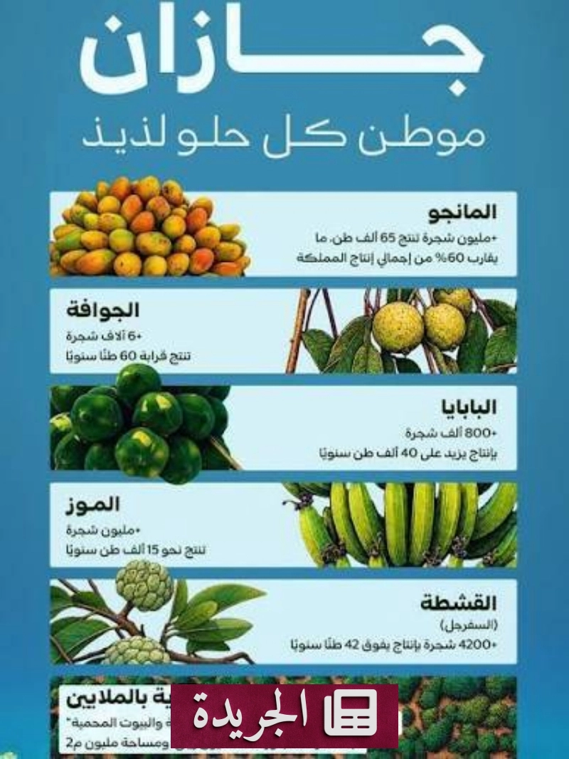 اشترك الآن في النشرة الإخبارية اليومية - آخر الأخبار - الجريدة