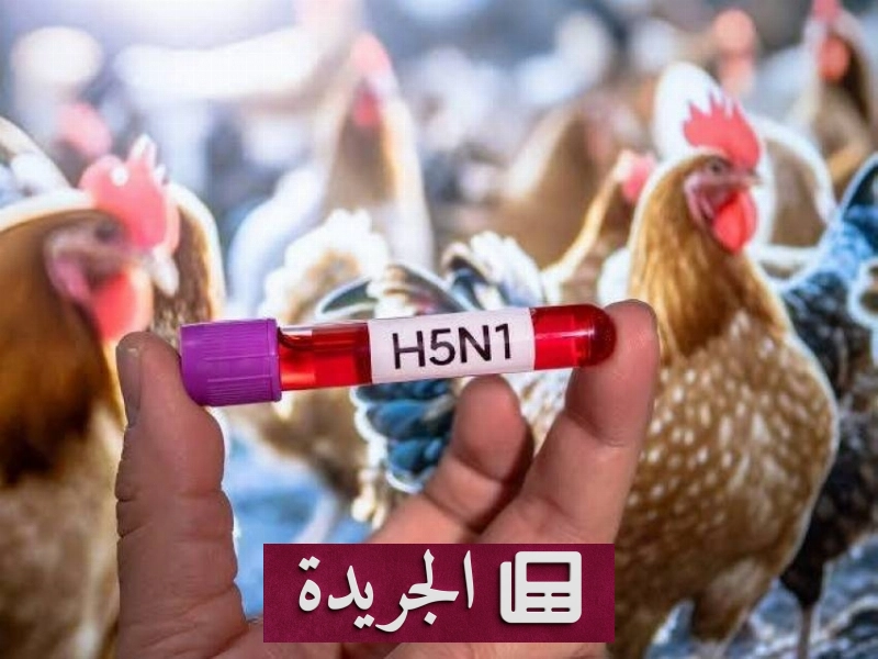 اشترك الآن في النشرة الإخبارية اليومية عبر بريدك الإلكتروني - آخر الأخبار - الجريدة