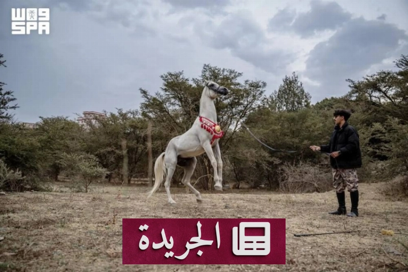اشترك الآن في النشرة الإخبارية اليومية عبر بريدك الإلكتروني - آخر الأخبار - الجريدة