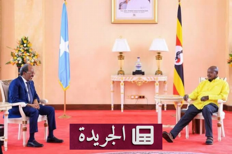 صورة توضح كيفية الاشتراك في النشرة الإخبارية اليومية عبر إدخال البريد الإلكتروني