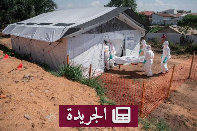 اشترك الآن في النشرة الإخبارية اليومية عبر بريدك الإلكتروني - آخر الأخبار - الجريدة
