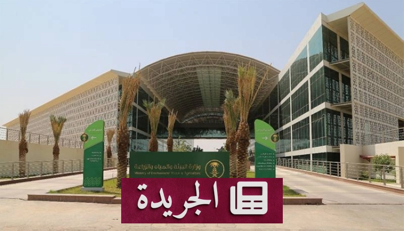 اشترك الآن في النشرة الإخبارية اليومية عبر بريدك الإلكتروني - آخر الأخبار - الجريدة