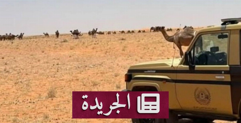 اشترك الآن لتلقي أحدث الأخبار يومياً في بريدك الإلكتروني - آخر أخبار الجريدة