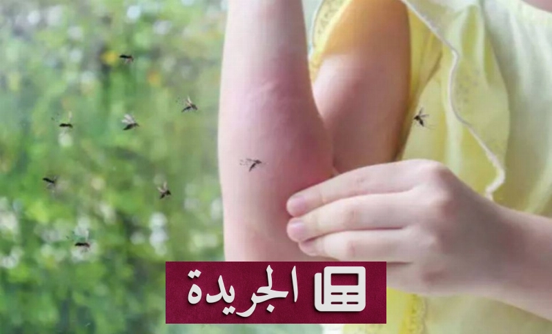 اشترك في النشرة الإخبارية اليومية عبر بريدك الإلكتروني - آخر الأخبار - الجريدة