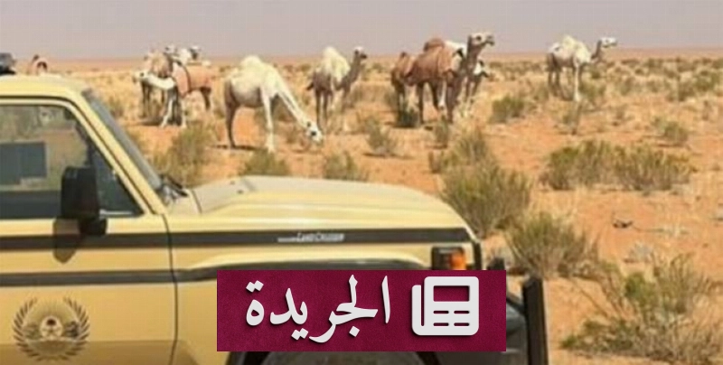 اشتركوا بالنشرة الإخبارية اليومية عبر بريدكم الإلكتروني - آخر الأخبار - الجريدة
