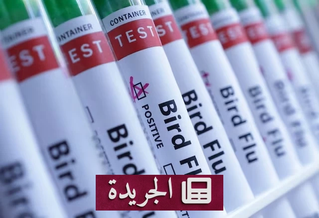 أستراليا تتخذ إجراءات صارمة بعد تسجيل ثاني إصابة بأنفلونزا الطيور H5N1 - آخر أخبار الجريدة
