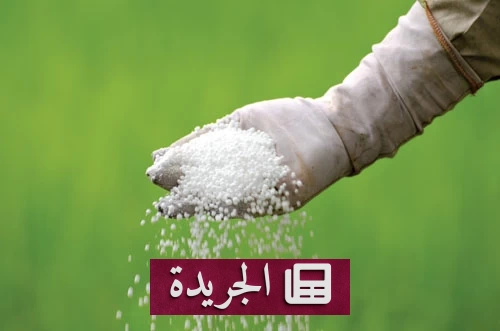أزمة مضيق هرمز تهدد الأمن الغذائي العالمي بارتفاع أسعار الأسمدة 35% - أخبار أونلاين