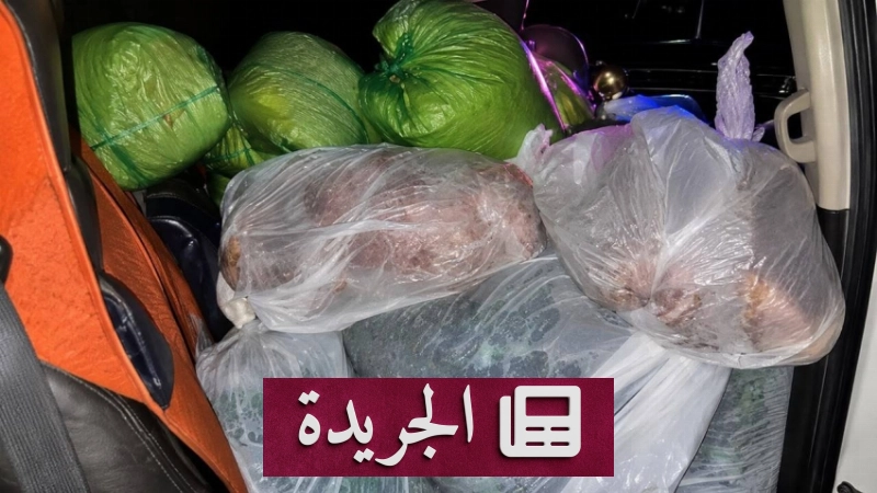 بلدية بريمان تكشف عن ضبط مواد غذائية فاسدة في حملة رقابية واسعة - آخر أخبار الجريدة
