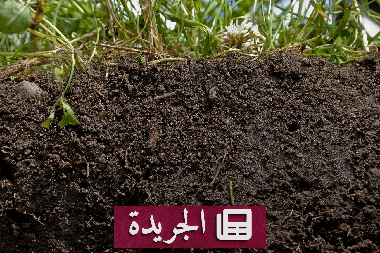ضبط طن ونصف من الكوكايين مخبأ في شاحنة تربة زراعية بفرنسا - أخبار أونلاين