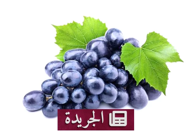 فوائد العنب الأسود الصحية لا تُعد ولا تُحصى - آخر الأخبار - الجريدة