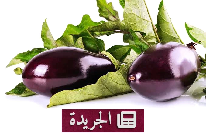 فوائد الباذنجان الصحية التي لا تعرفها - آخر الأخبار - الجريدة