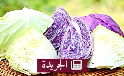 فوائد الملفوف الصحية التي لا غنى عنها لجسمك - آخر الأخبار - الجريدة