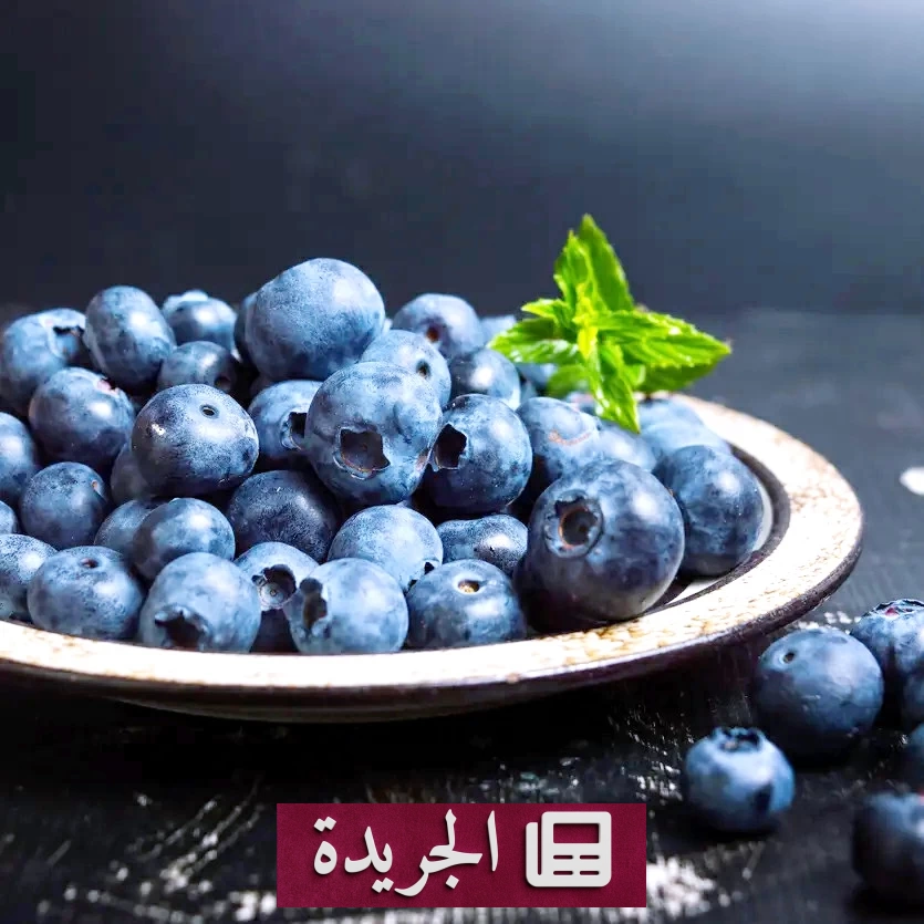 فوائد التوت الأزرق الصحية التي لا تعرفها - آخر الأخبار - الجريدة