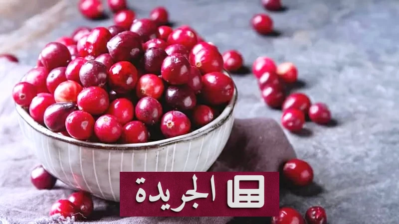 فوائد التوت البري الصحية التي لا تعرفها - آخر الأخبار - الجريدة