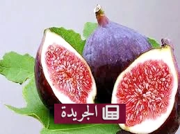 فوائد التين الصحية لا تُعد ولا تُحصى - آخر الأخبار - الجريدة
