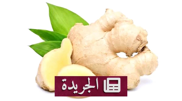 فوائد الزنجبيل الصحية التي لا غنى عنها - آخر الأخبار - الجريدة
