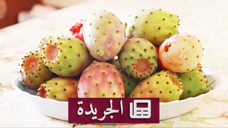 فوائد صحية مذهلة للتّين الشوكي لا غنى عنها - آخر أخبار الجريدة