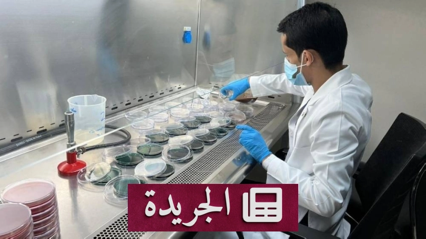 فرع وزارة البيئة والمياه والزراعة بمكة يحقق إنجازا تشغيليا بارزا في مايو 2026 - آخر أخبار الجريدة