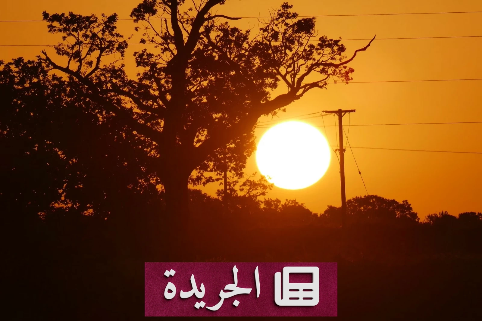 فرنسا في مواجهة موجة حر قاسية.. 58 مقاطعة تحت الإنذار الأحمر وحرائق غابات تهدد الجنوب والغرب - آخر الأخبار - الجريدة