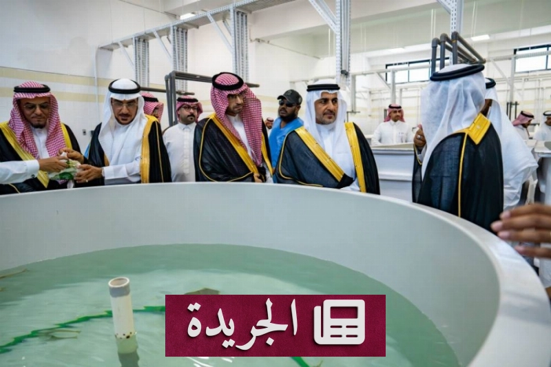 جامعة الملك عبدالعزيز تطلق مشروعا رائدا لدعم الاستزراع المائي والبحث العلمي البحري - آخر أخبار الجريدة
