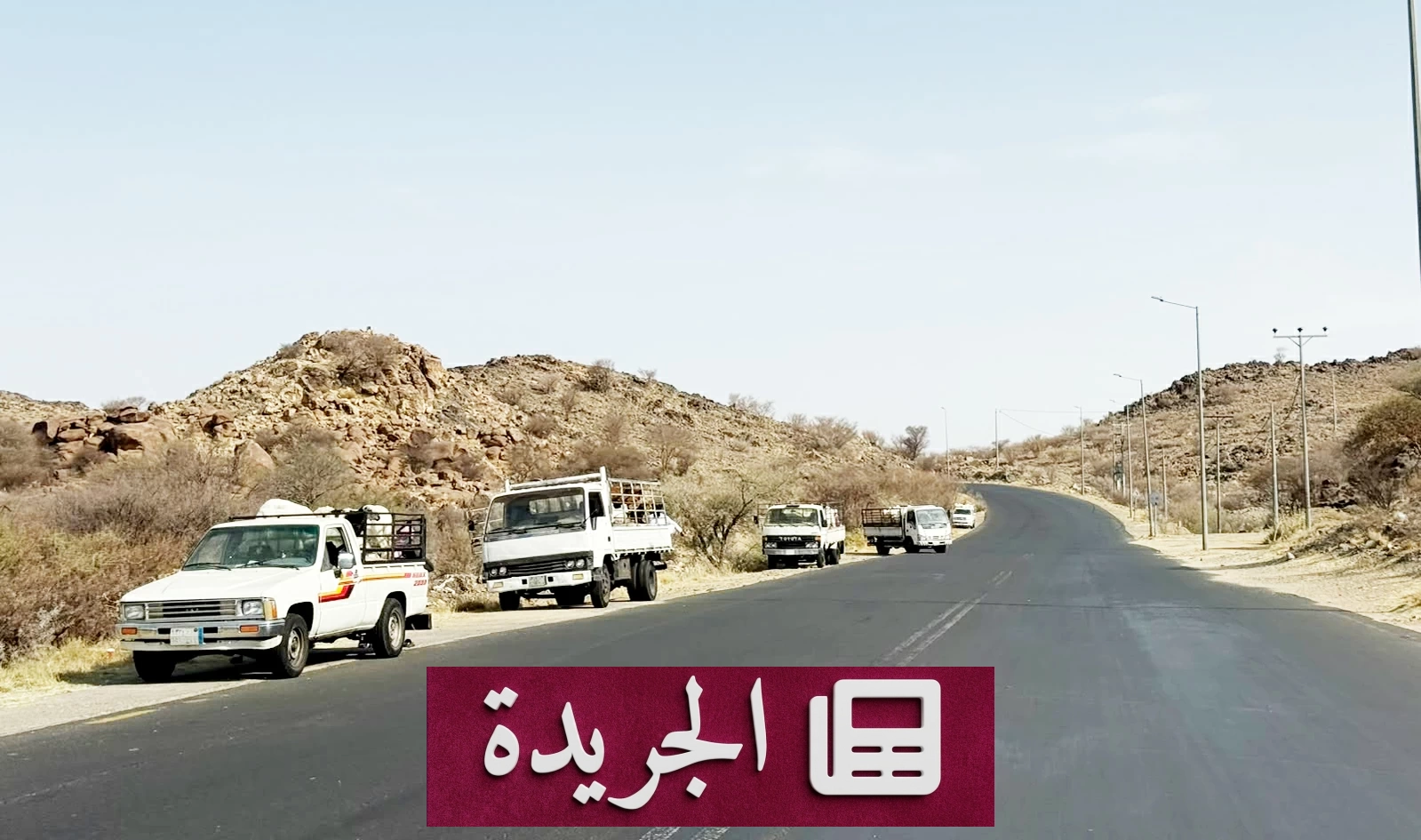 غياب الرقابة على موازين المواشي.. «الجائلون» يستغلون الفراغ التنظيمي - آخر الأخبار - الجريدة