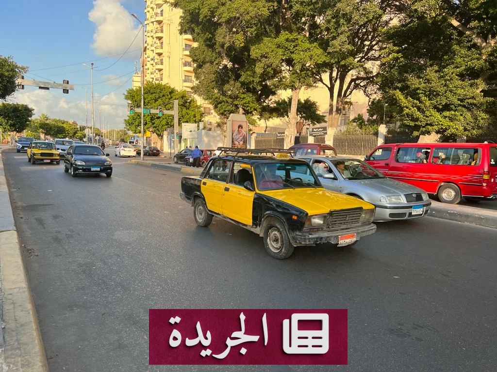 جريمة مروعة في الإسكندرية.. ابن يدفن أمه تحت الأسمنت للحصول على معاشها - آخر الأخبار - الجريدة