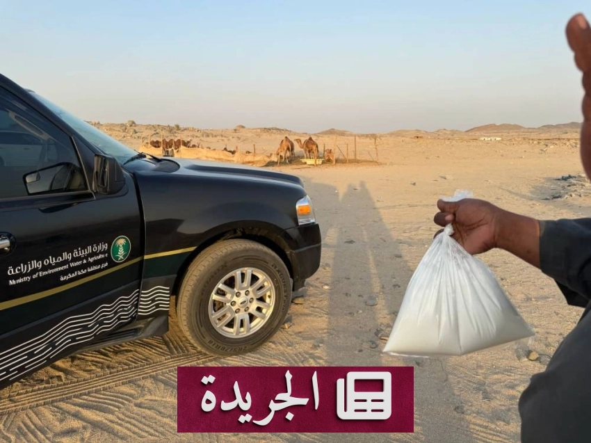 حملة مشتركة لحماية الصحة العامة في مكة المكرمة - آخر الأخبار - الجريدة