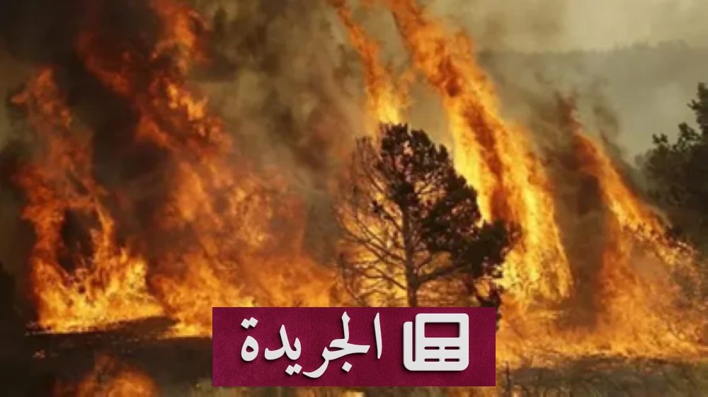 حرائق الغابات في إسبانيا تجبر آلاف المواطنين على الإجلاء - آخر الأخبار - الجريدة